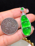 A Quality Ice Jadeite Lucky Bean Pendant Necklace